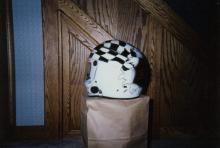 Checkerboard Helmet