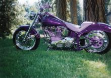 Purple Graphic Bike2