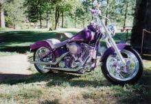 Purple Graphic Bike